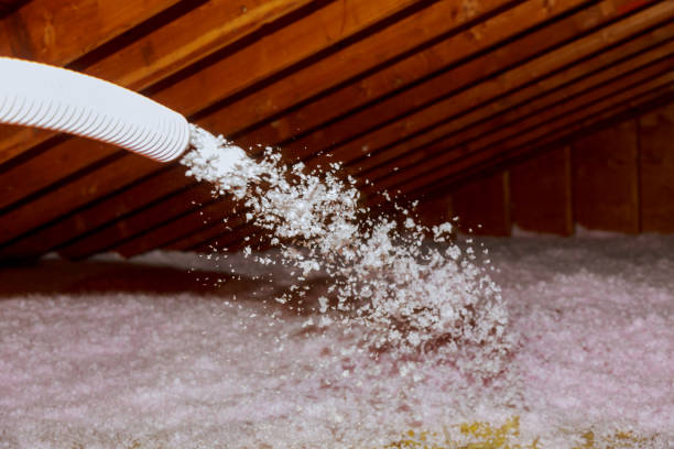 Best Spray Foam Insulation in Paramount Long Meadow, MD