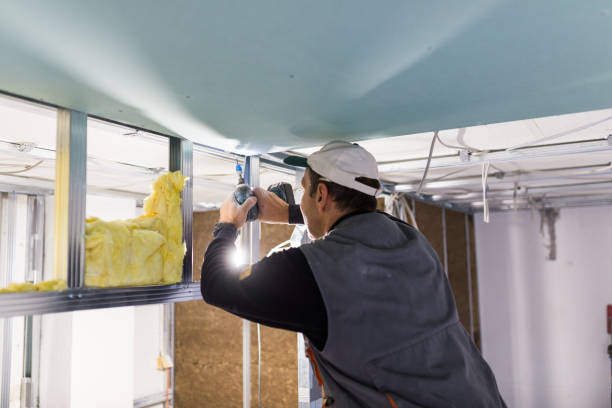 Professional Insulation Contractor in Paramount Long Meadow, MD