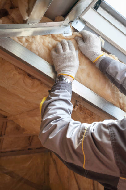Types of Insulation We Offer in Paramount Long Meadow, MD