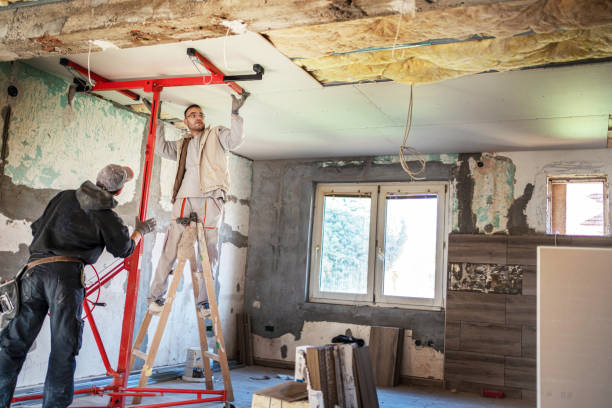 Best Blown-in Insulation in Paramount Long Meadow, MD