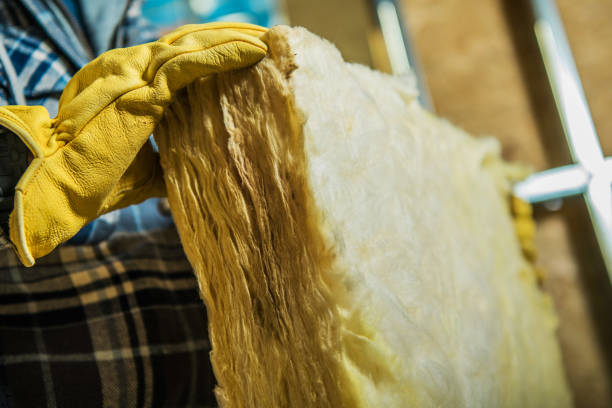 Best Geographic-Specific Insulation Services in Paramount Long Meadow, MD