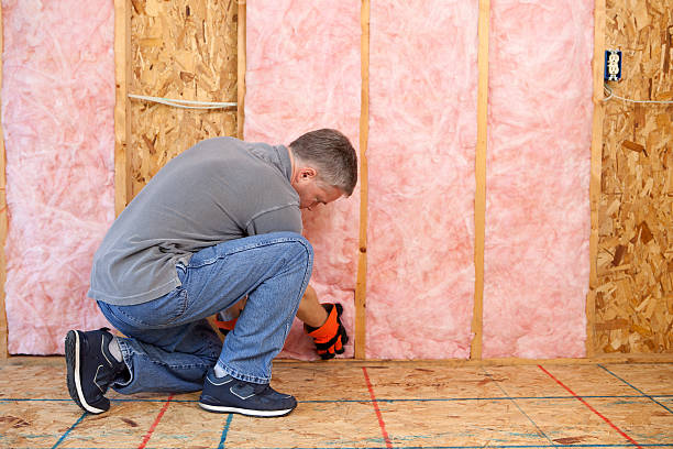 Best Residential Insulation in Paramount Long Meadow, MD