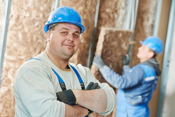 Best Fiberglass Insulation in Paramount Long Meadow, MD